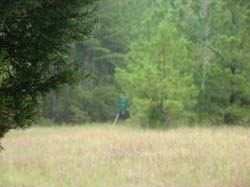 DSC09938