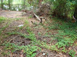 DSC09956