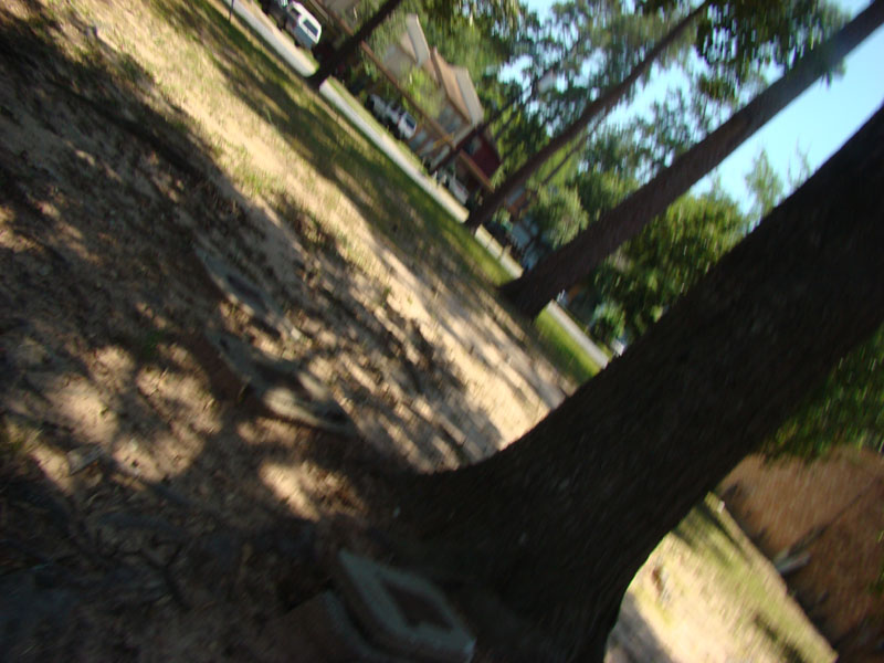 DSC09364