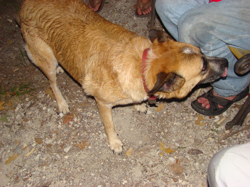 DSC09428