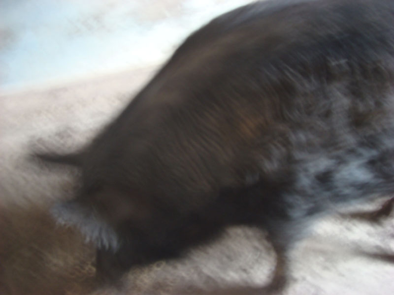 DSC09528
