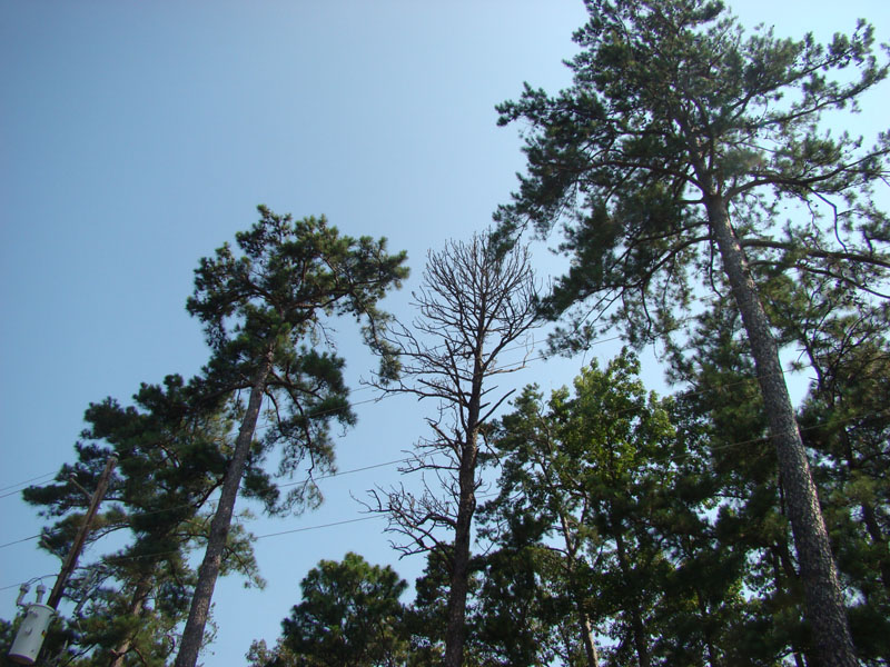 DSC09567