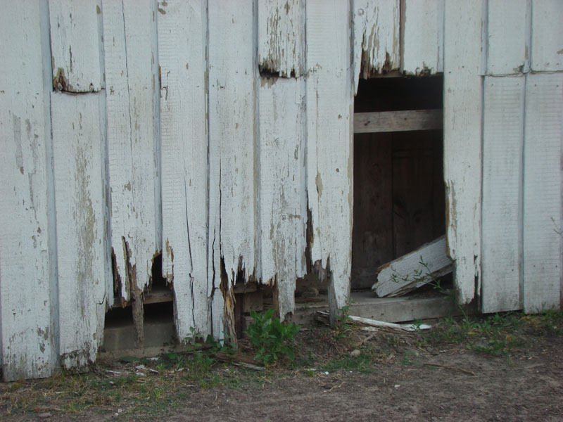 DSC09604