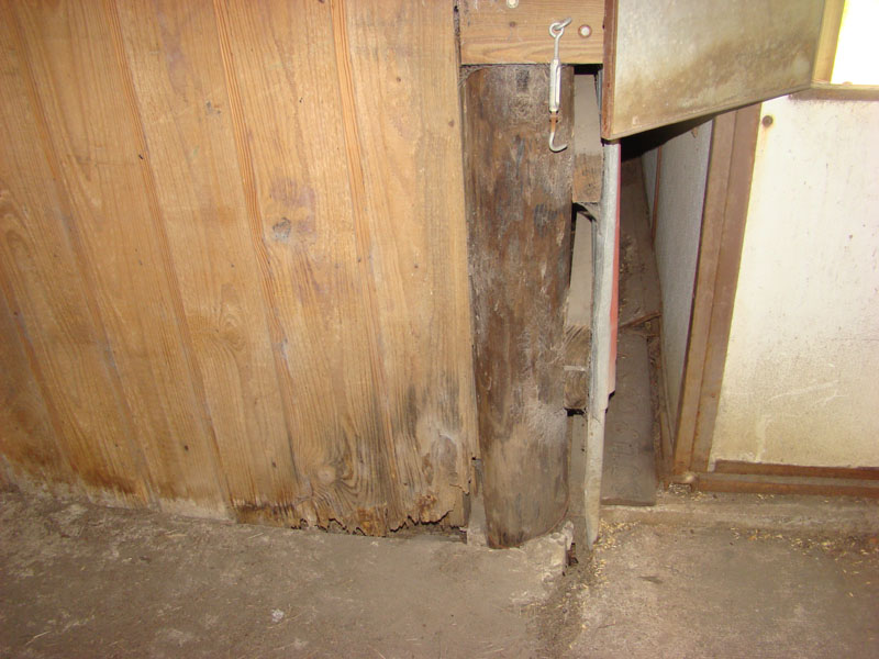 DSC09607