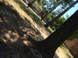 DSC09364