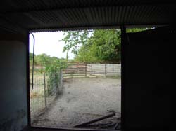 DSC09606