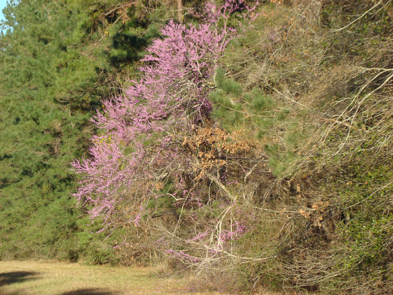 DSC08309