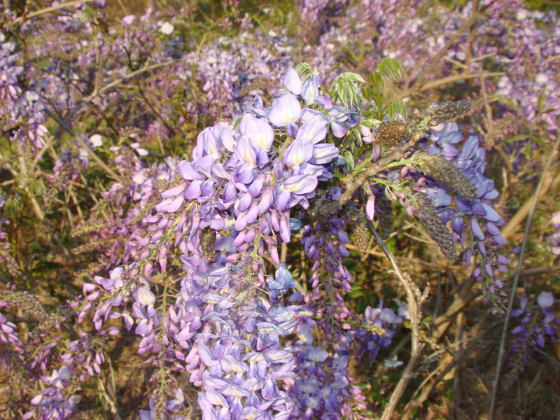 DSC08475