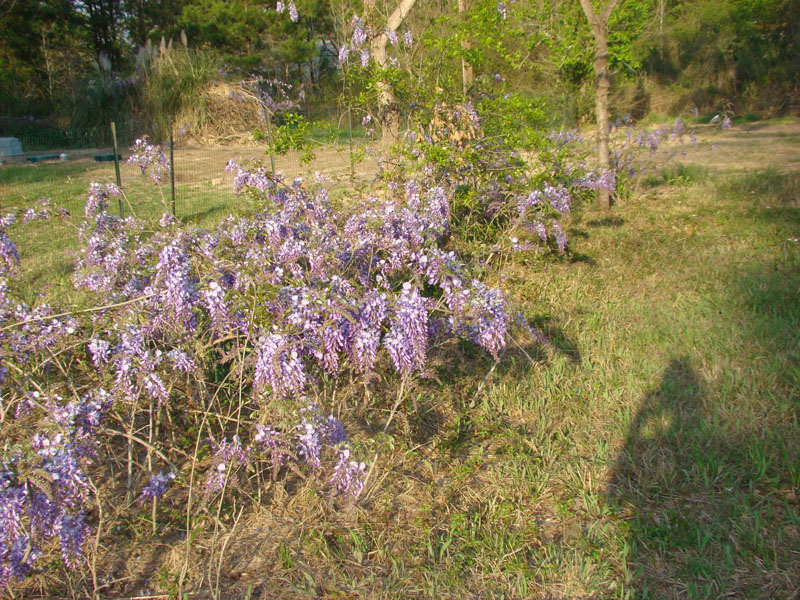 DSC08476