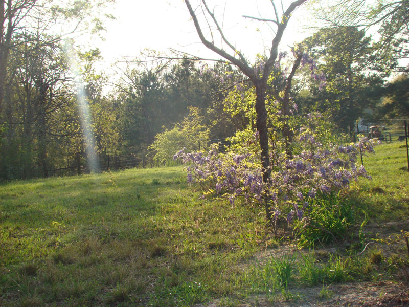 DSC08478