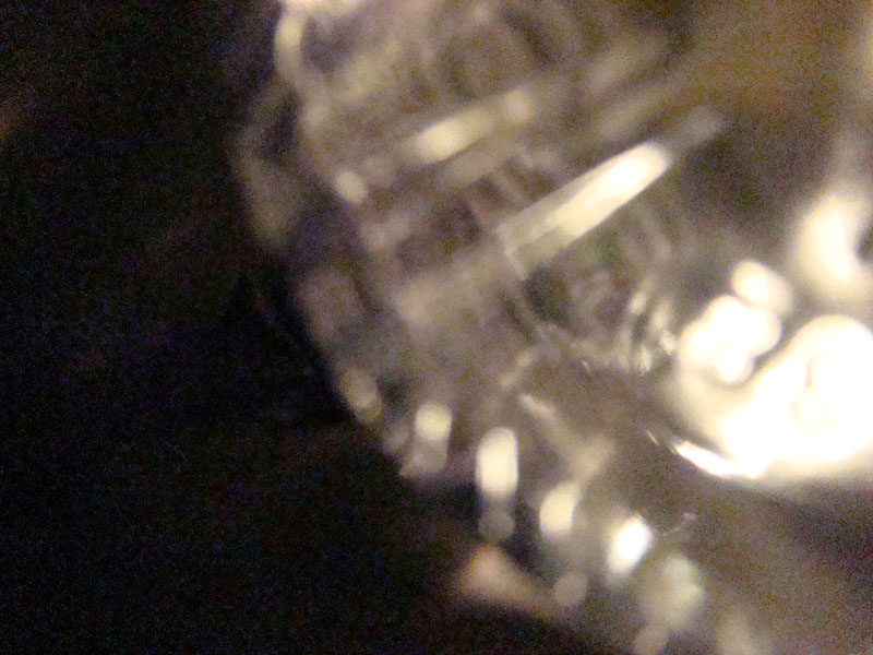 DSC08501