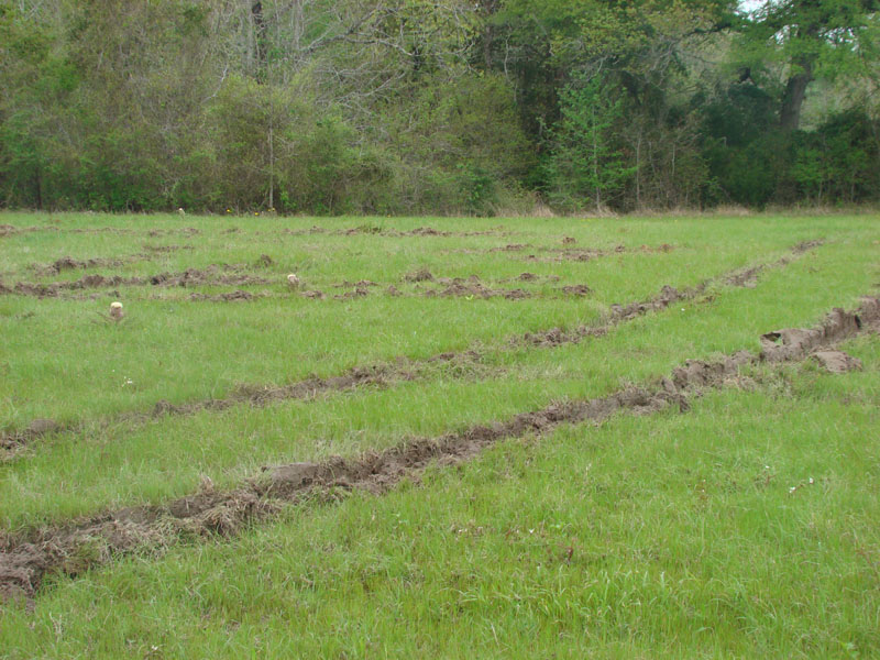 DSC08537