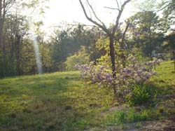 DSC08478