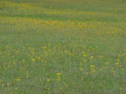DSC08543