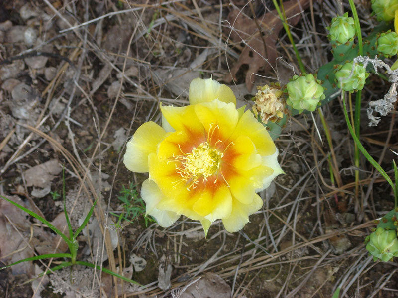 DSC08958
