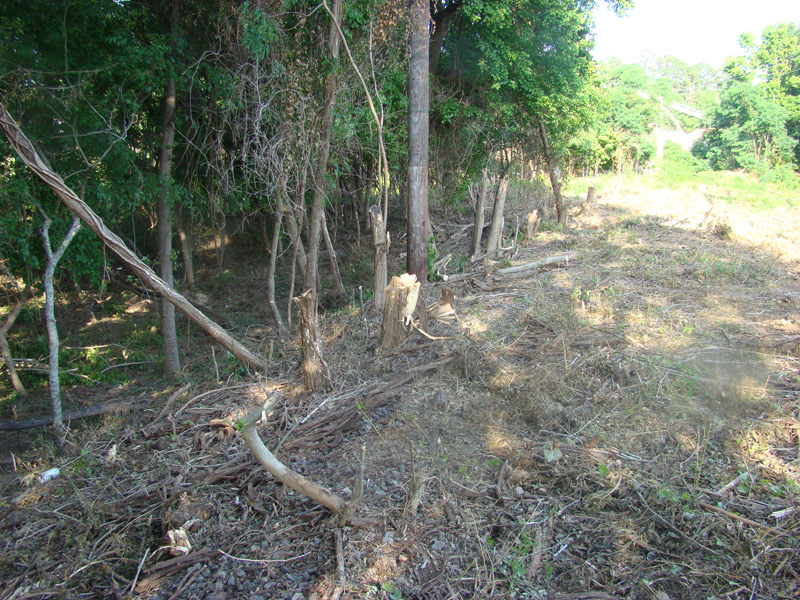 DSC08992