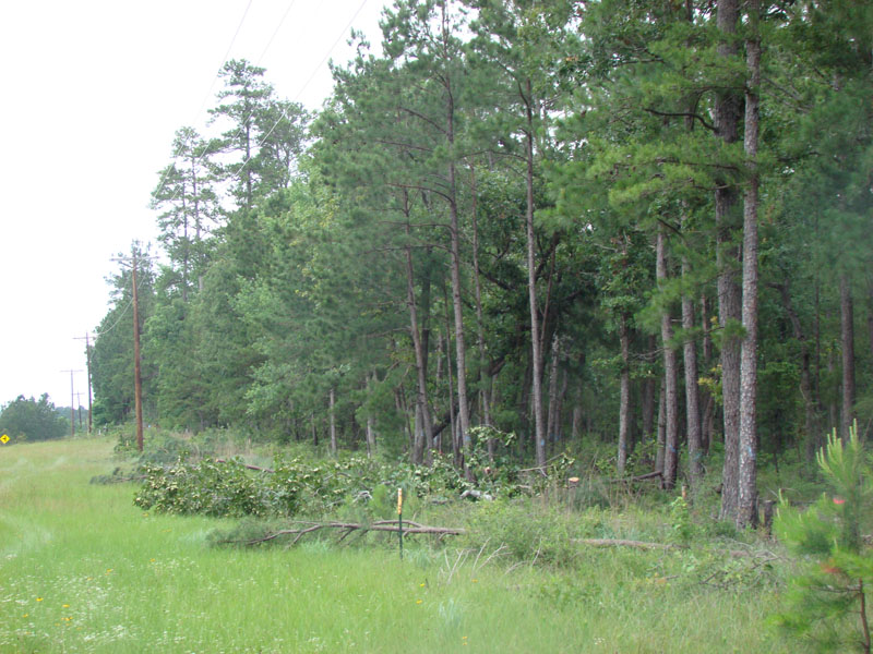 DSC09008