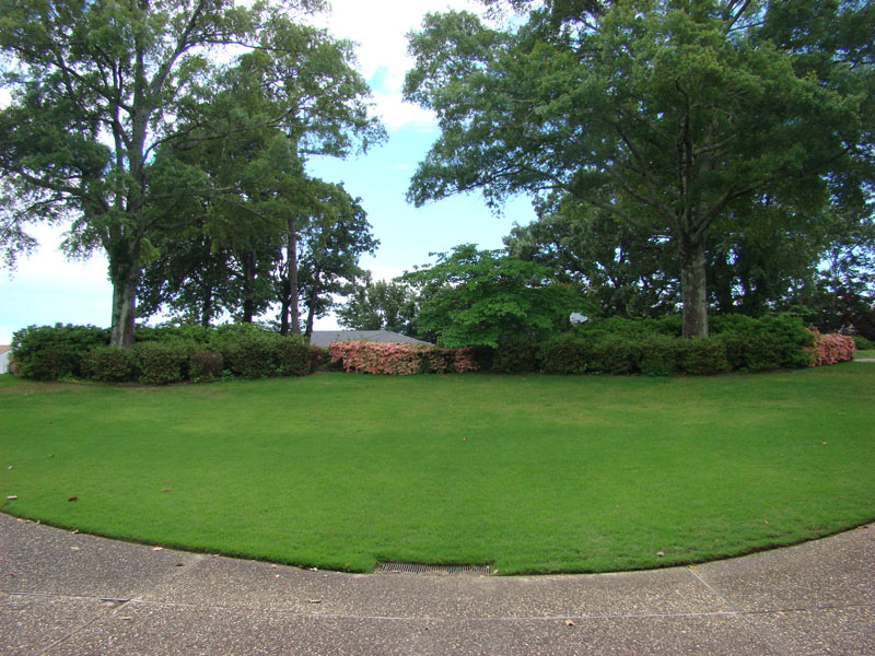 DSC09051