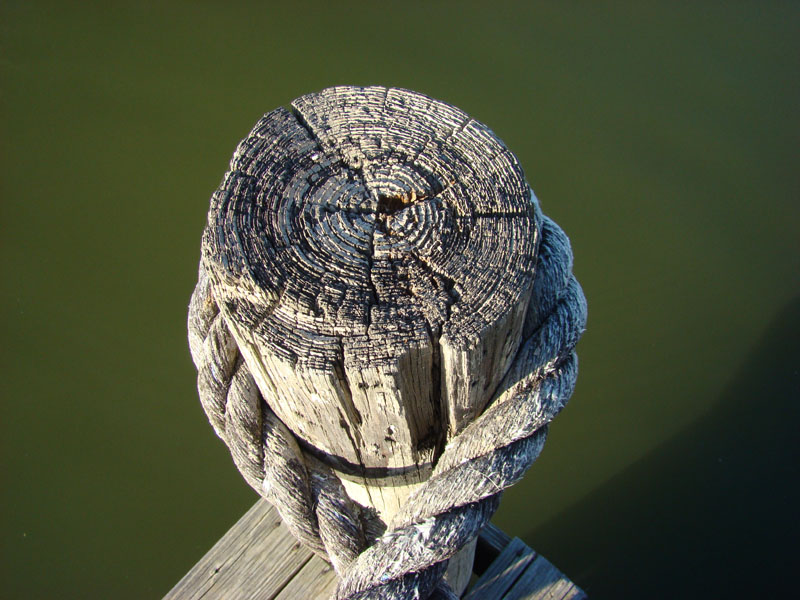 DSC09068