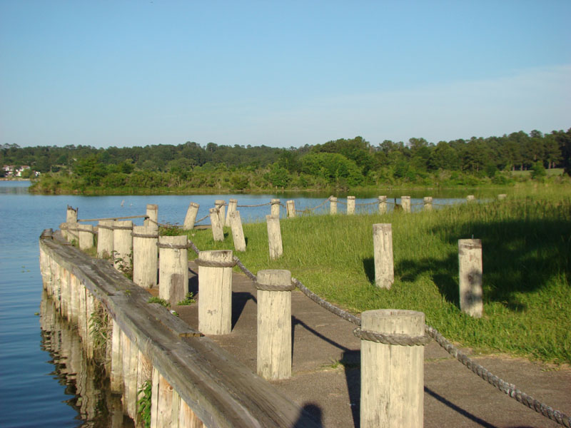 DSC09072
