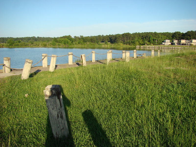 DSC09081