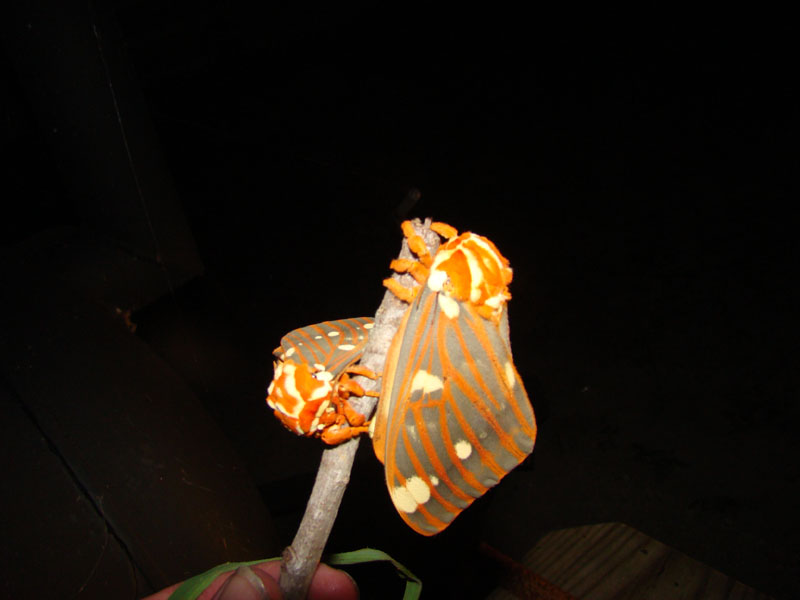DSC09108
