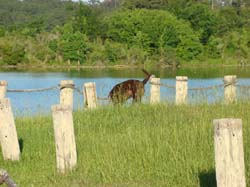 DSC09071