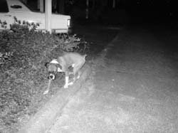 DSC09102