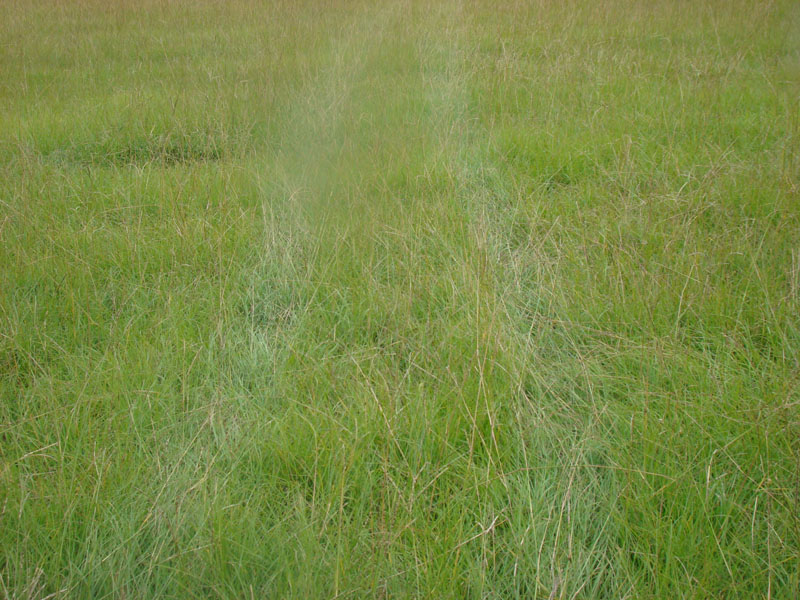 DSC01771