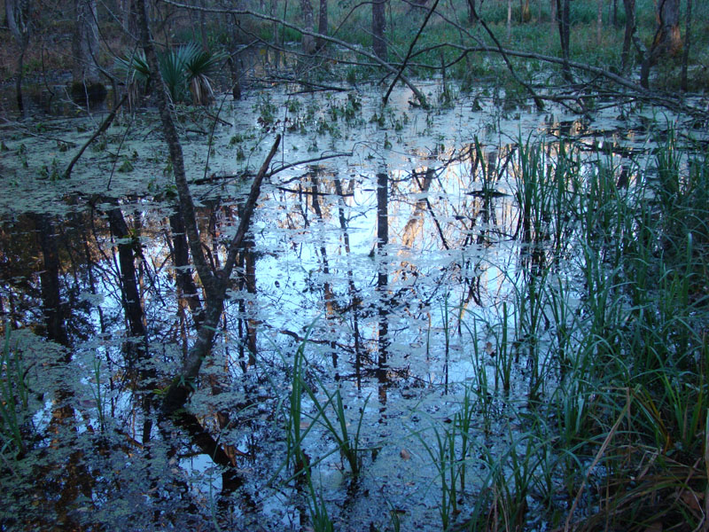 DSC02037