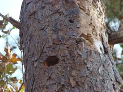 DSC01935