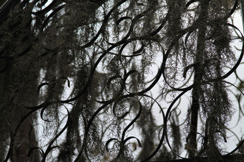 IMG_0866