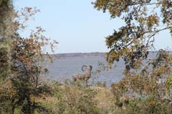 IMG_0265