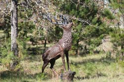 IMG_0320