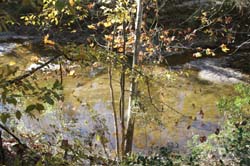 IMG_0344