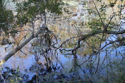 IMG_0362