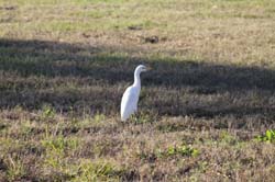 IMG_0372