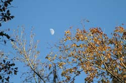 IMG_0399