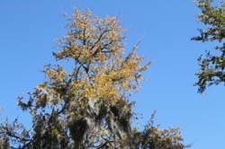 IMG_0565