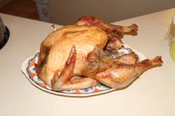 IMG_0573