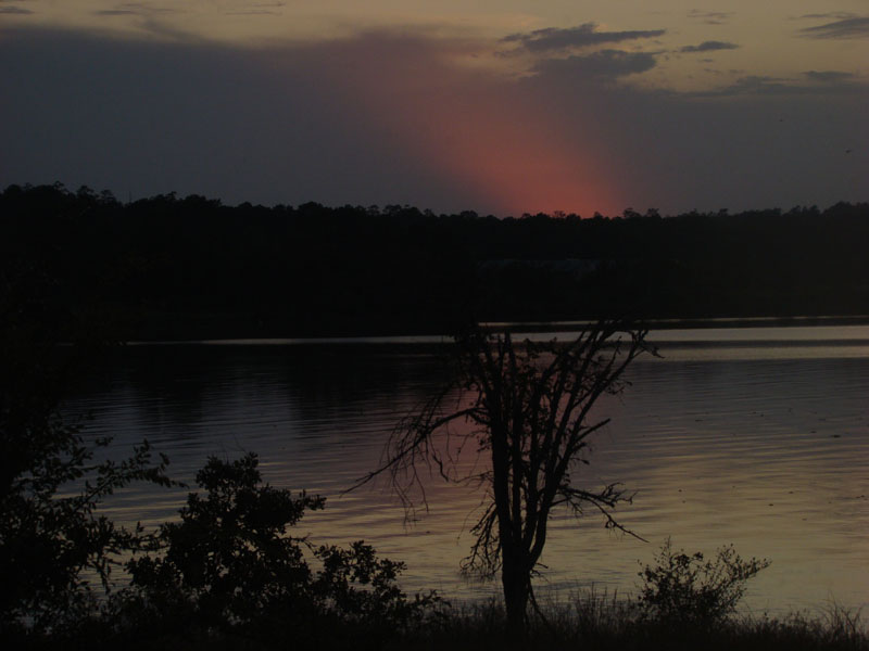 DSC00655