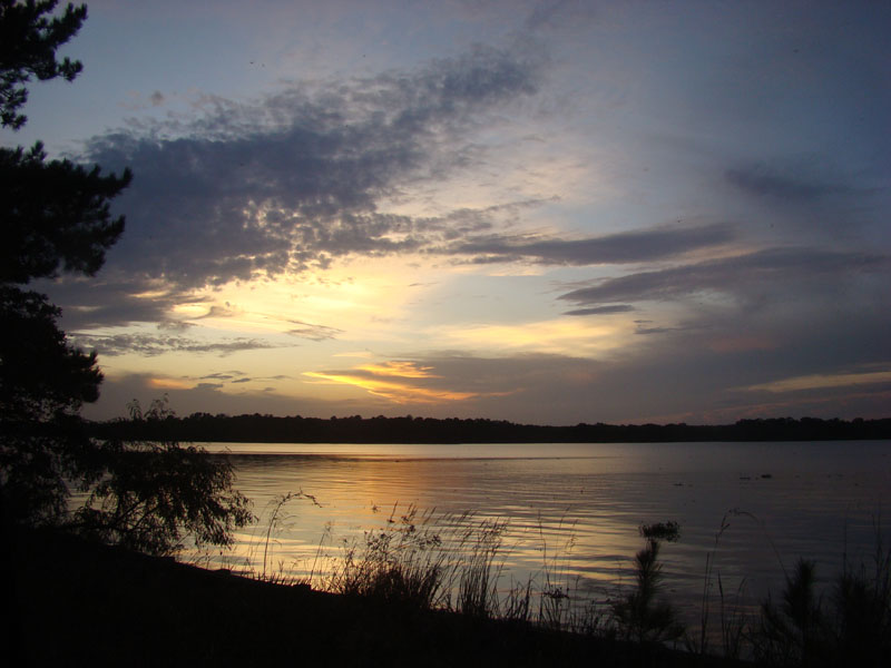 DSC00657