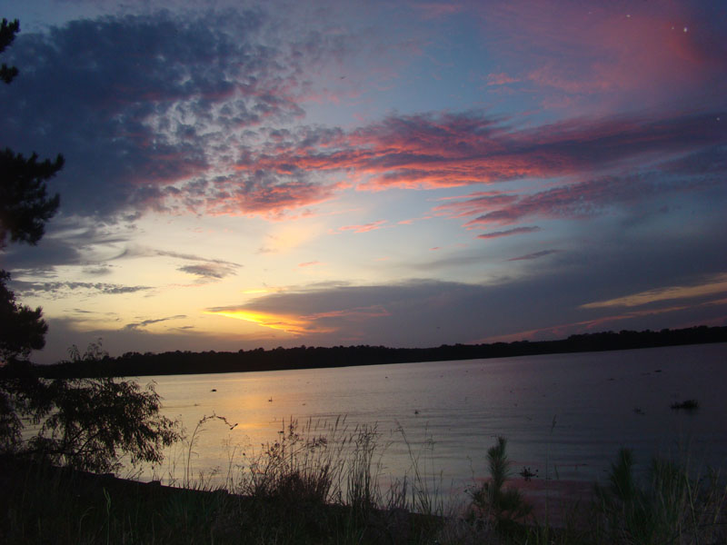 DSC00659