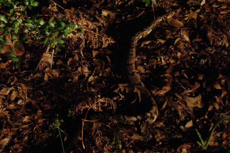 DSC00995