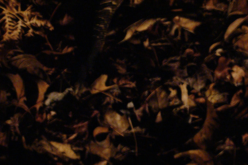 DSC00999