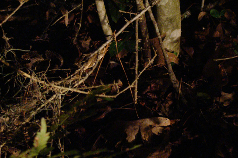 DSC01002
