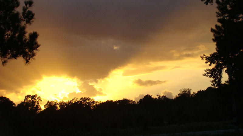 DSC01024