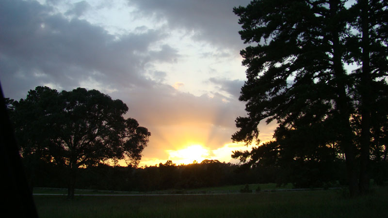 DSC01027
