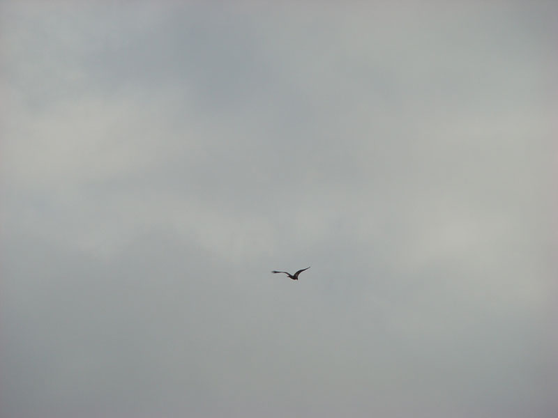 DSC01033