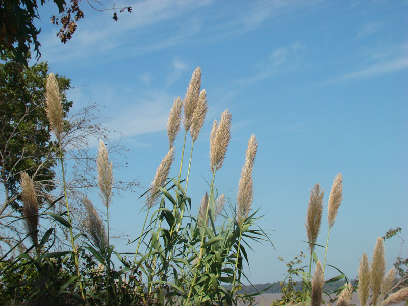 DSC01329